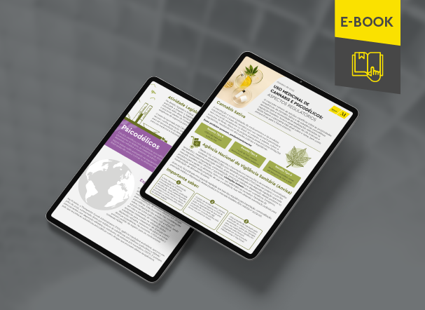 Mockup of tablets reflecting the e-book's internal content