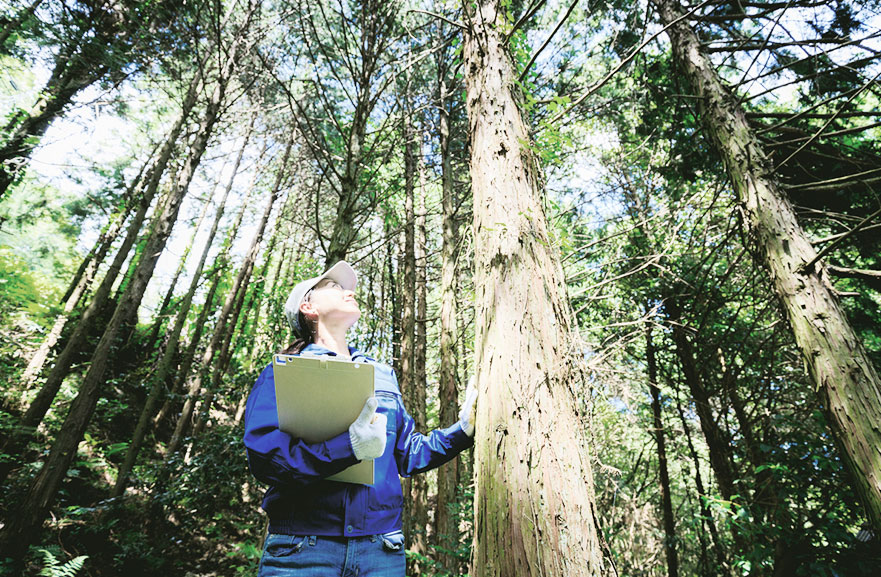 Bottom view of mirrored building with tree in the background