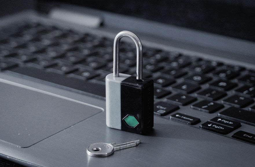 Privacidade e proteção de dados. Conceito de cibersegurança.