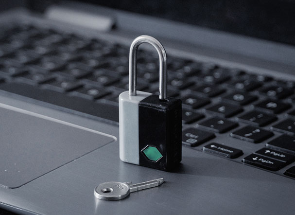 Privacidade e proteção de dados. Conceito de cibersegurança.