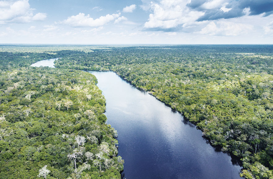Top image of river cutting through forest