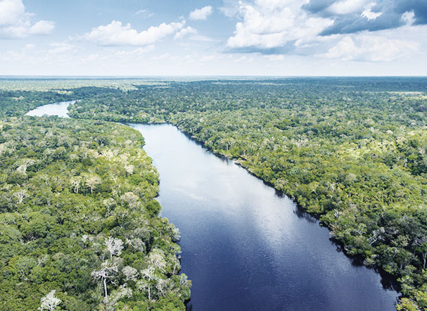 Top image of river cutting through forest