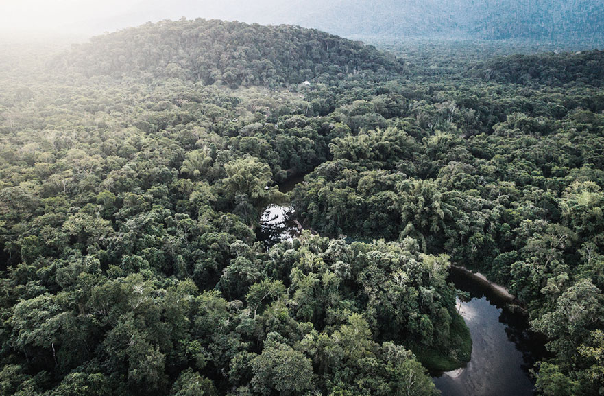 Visão superior de zona florestal cortada por um rio