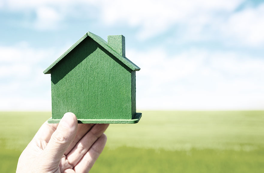 pessoa segurando uma casa de madeira na cor verde. Ao fundo, campo com grama verde e céu azul