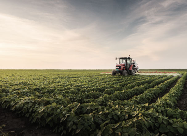 Trator colhendo em campo agrícola