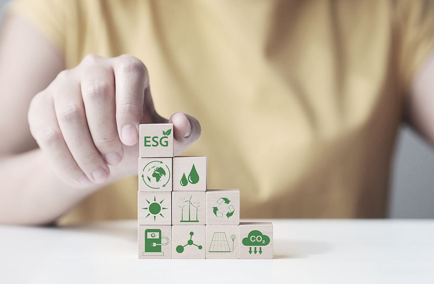 Pessoa segurando cubos pequenos de brinquedo na cor marrom, com representações gráficas impresas em verde